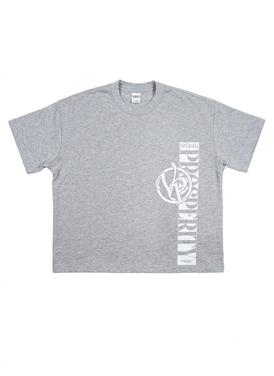 Luxury Heavyweight Tee – Heather Gray