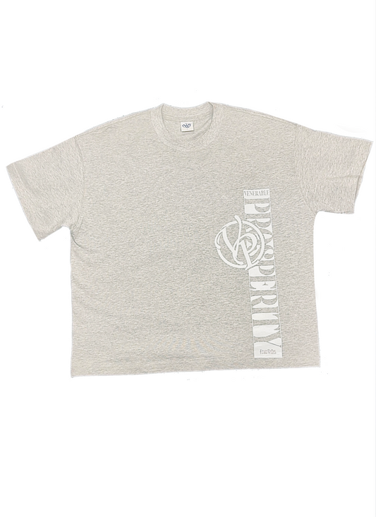 Luxury Heavyweight Tee – Heather Gray